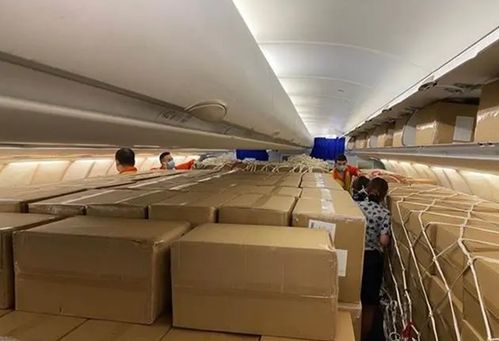 東航“客改貨”包機首航武漢-洛杉磯，國際包機服務邁入全鏈條整合新階段