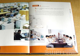 三文品牌設(shè)計 構(gòu)建企業(yè)形象與VI系統(tǒng)的全方位指南